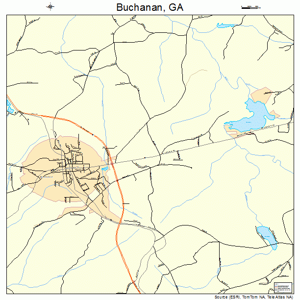 Buchanan, GA street map