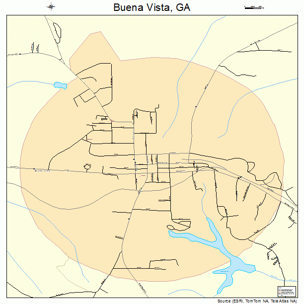 Buena Vista, GA street map