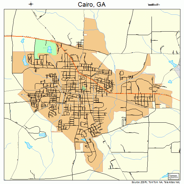 Cairo Georgia Street Map 1312400