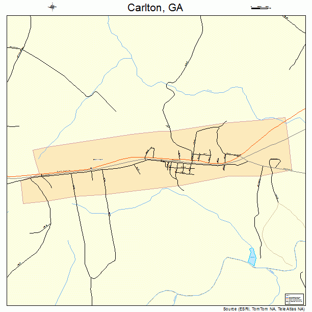 Carlton, GA street map