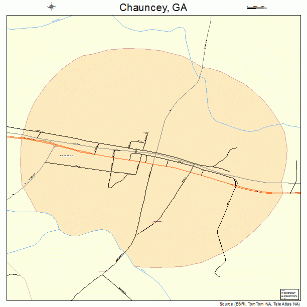Chauncey, GA street map