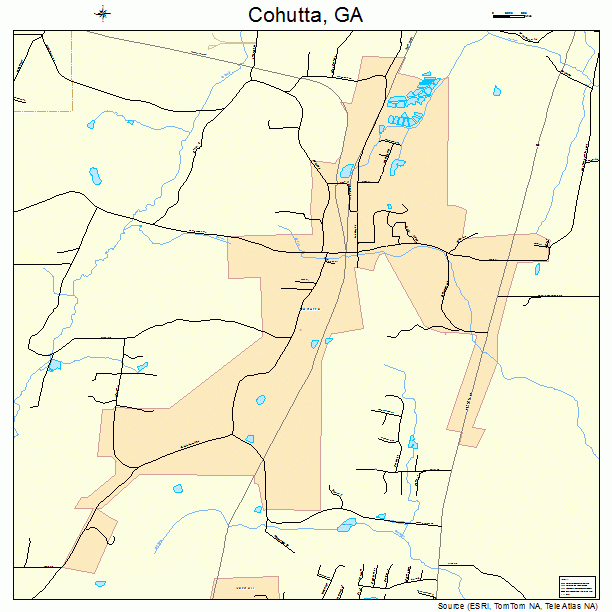 Cohutta, GA street map