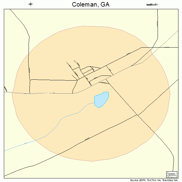 Coleman, GA street map
