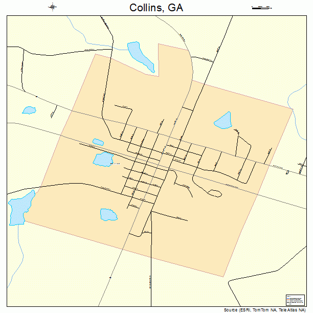 Collins, GA street map