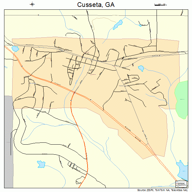 Cusseta, GA street map