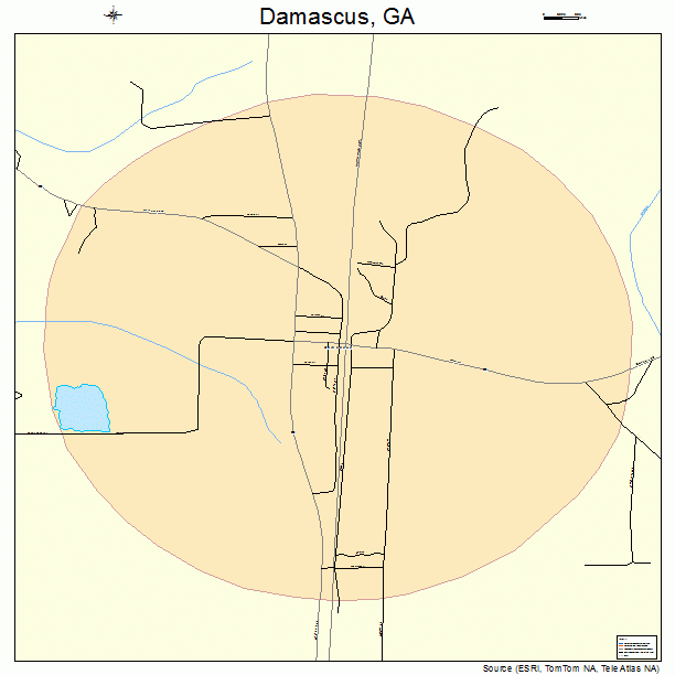 Damascus, GA street map