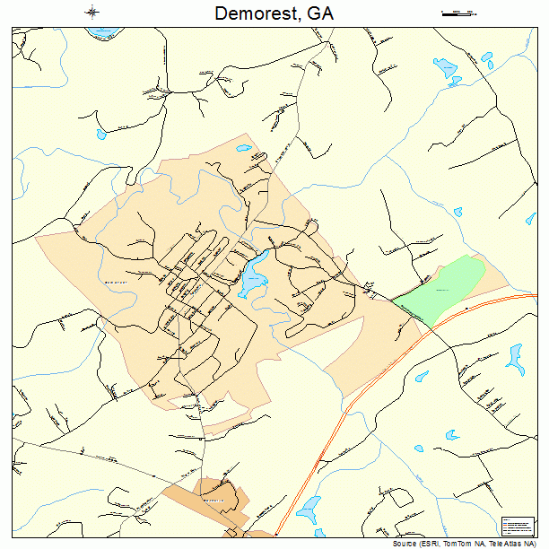 Demorest, GA street map