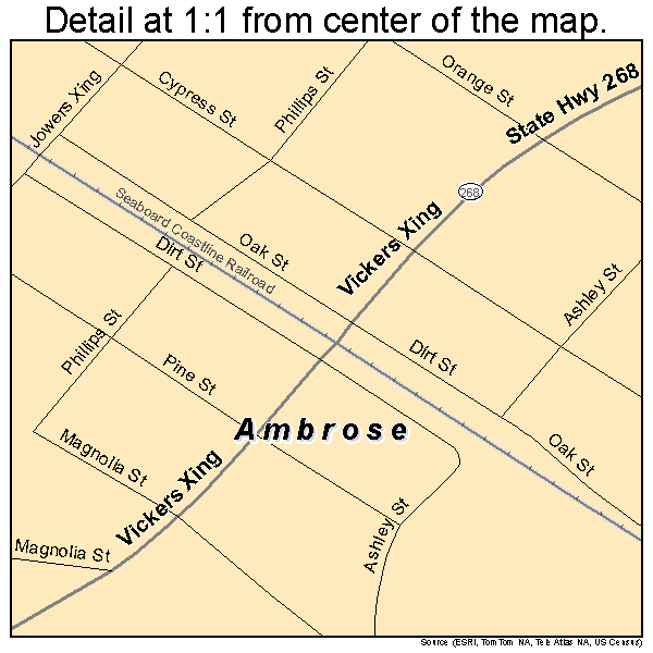 Ambrose, Georgia road map detail