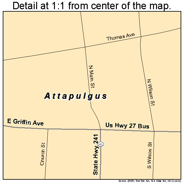 Attapulgus, Georgia road map detail
