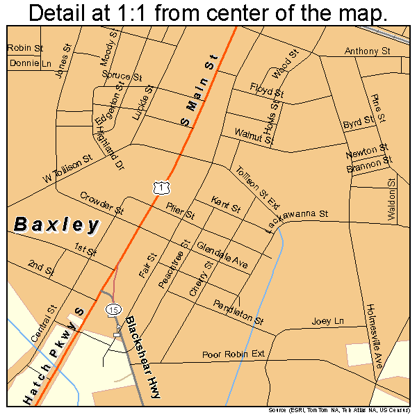 Baxley, Georgia road map detail