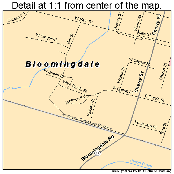 Bloomingdale, Georgia road map detail