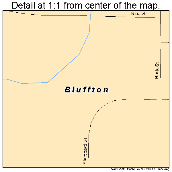 Bluffton, Georgia road map detail