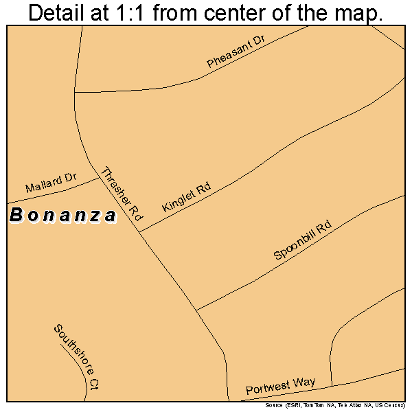 Bonanza, Georgia road map detail