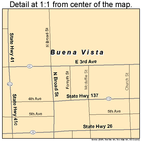 Buena Vista, Georgia road map detail