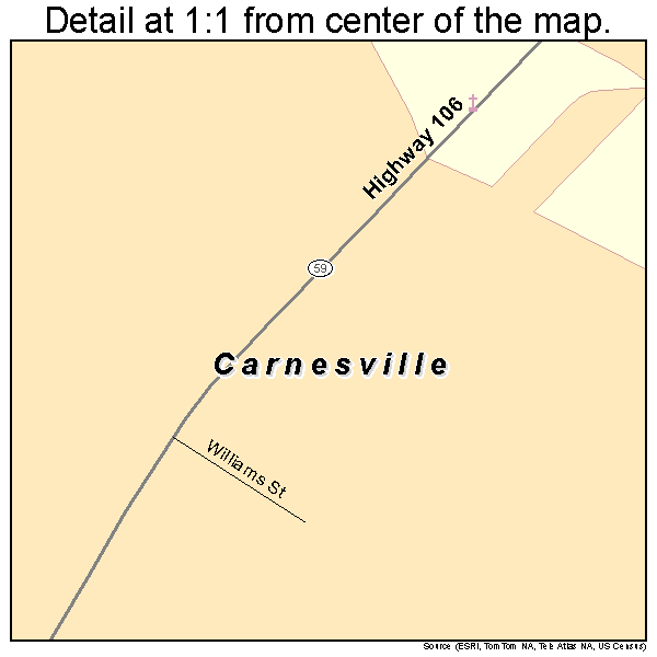 Carnesville, Georgia road map detail