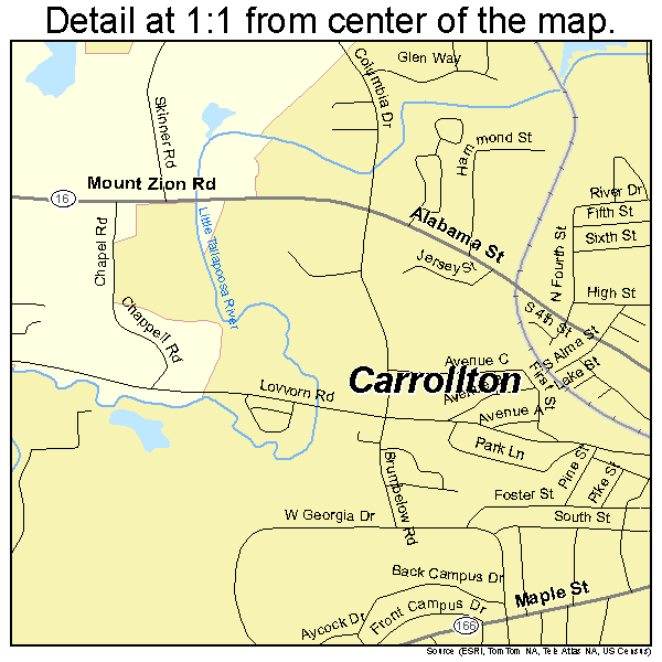 Carrollton, Georgia road map detail