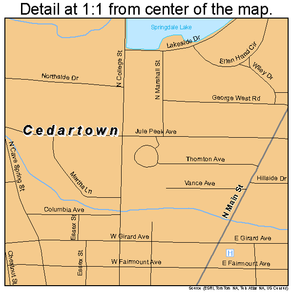 Cedartown, Georgia road map detail