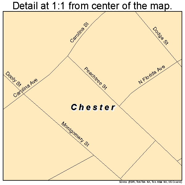 Chester, Georgia road map detail