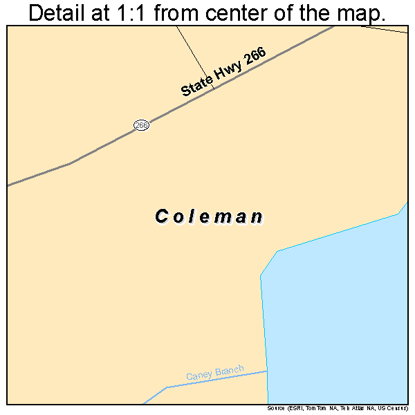 Coleman, Georgia road map detail