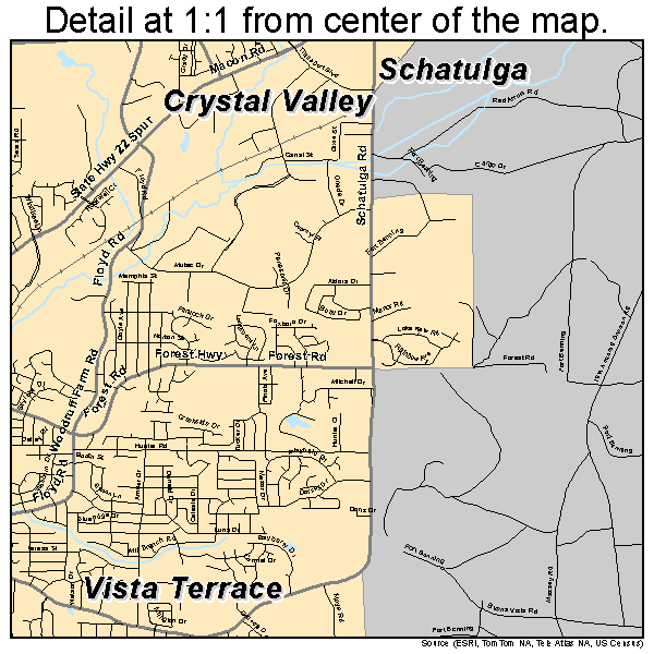 Columbus city (balance), Georgia road map detail