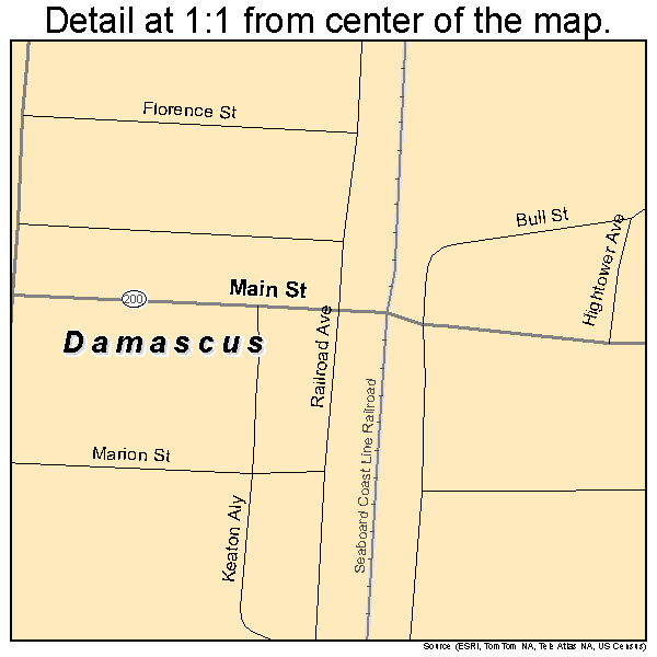 Damascus, Georgia road map detail