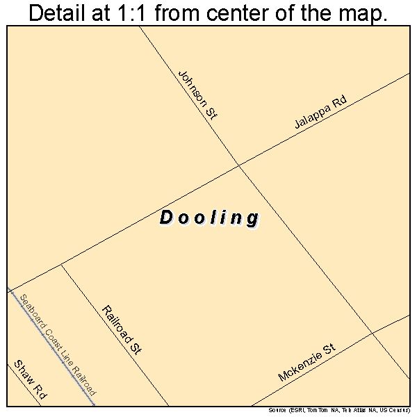 Dooling, Georgia road map detail