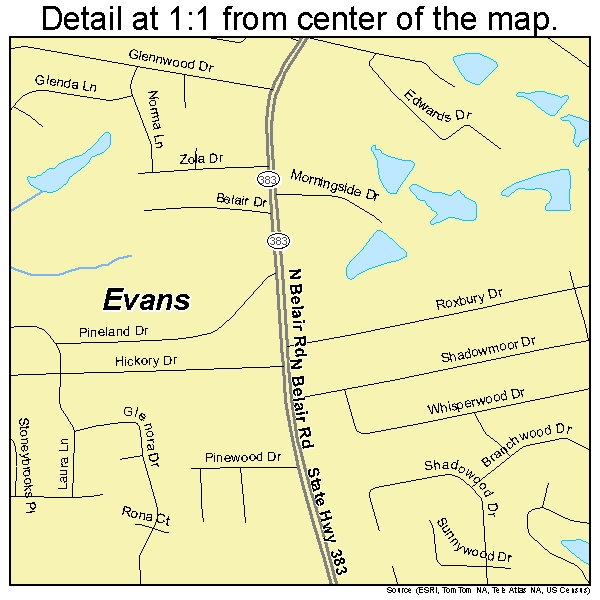 Evans Georgia Street Map 1328044