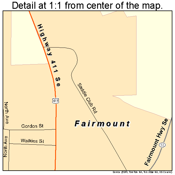 Fairmount, Georgia road map detail