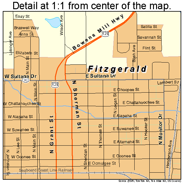 Fitzgerald, Georgia road map detail