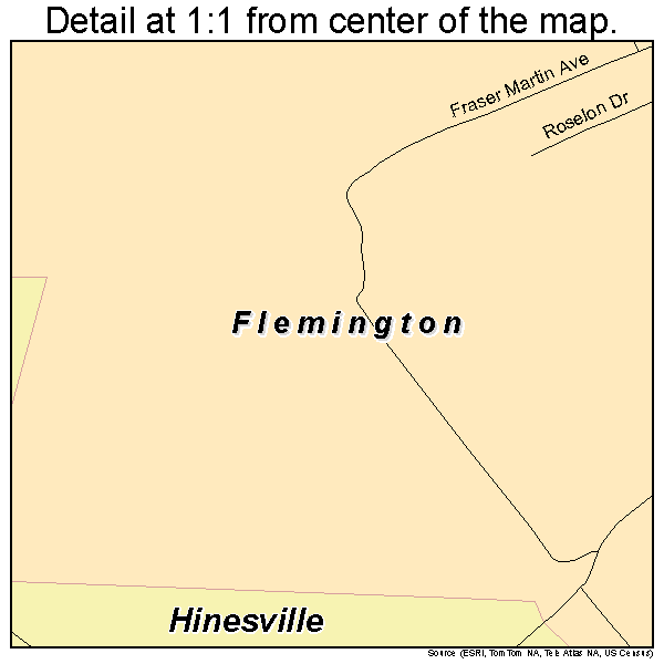 Flemington, Georgia road map detail