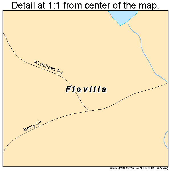 Flovilla, Georgia road map detail