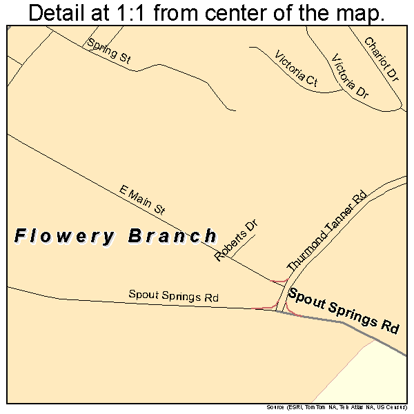 Flowery Branch, Georgia road map detail