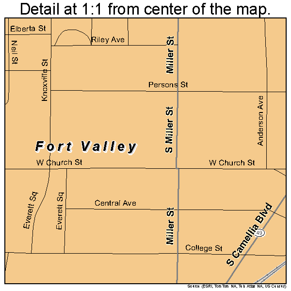 Fort Valley, Georgia road map detail