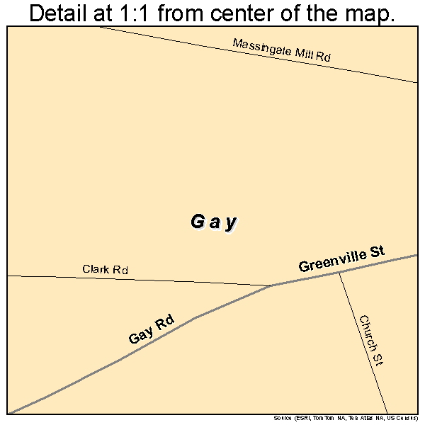 Gay, Georgia road map detail