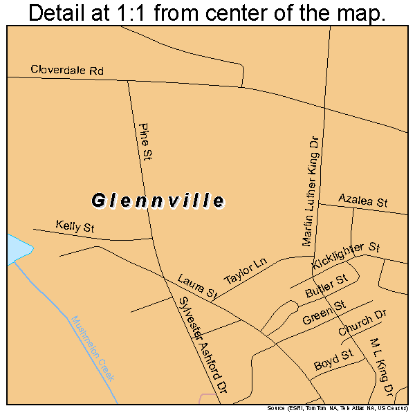 Glennville, Georgia road map detail