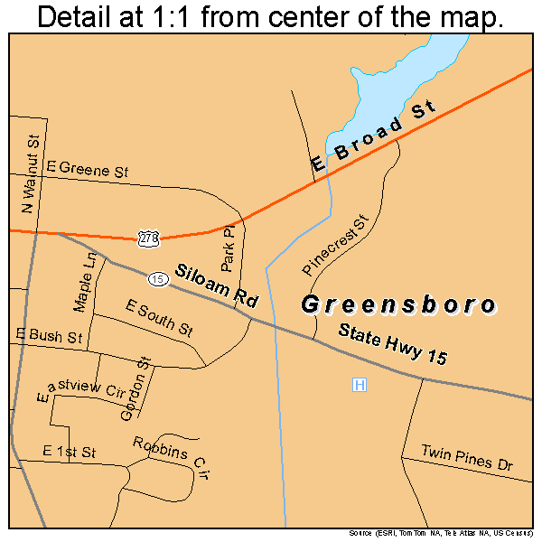 Greensboro, Georgia road map detail