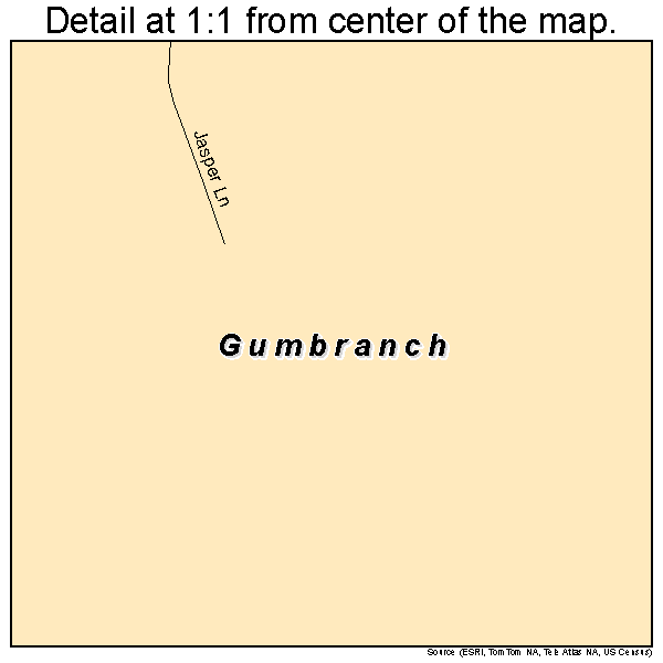 Gumbranch, Georgia road map detail