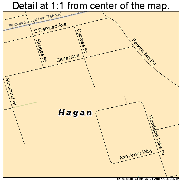 Hagan, Georgia road map detail