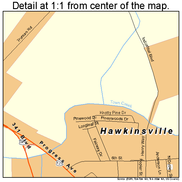 Hawkinsville, Georgia road map detail