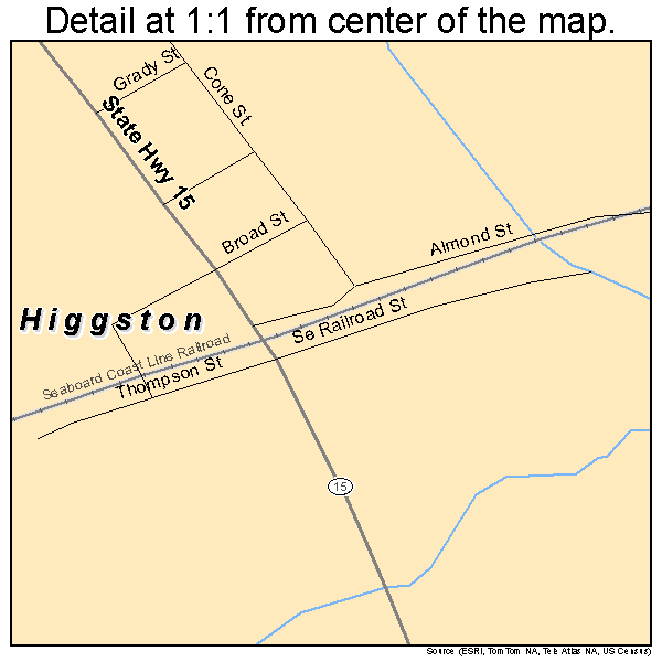 Higgston, Georgia road map detail