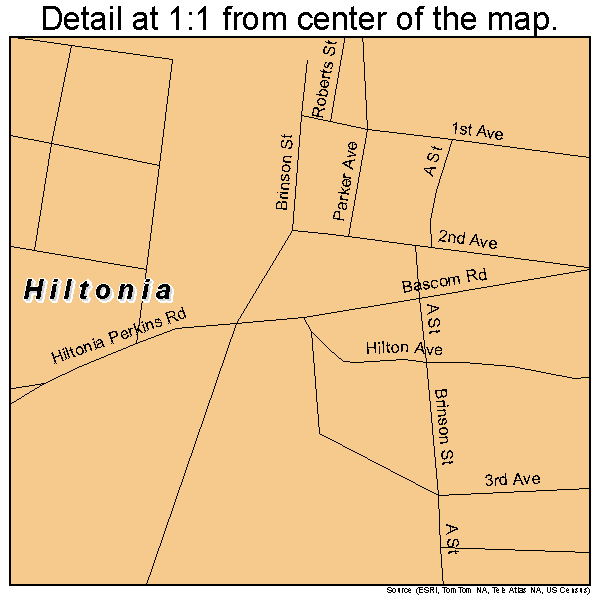 Hiltonia, Georgia road map detail