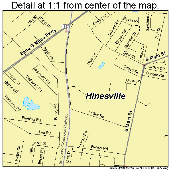 Hinesville, Georgia road map detail