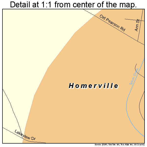 Homerville, Georgia road map detail