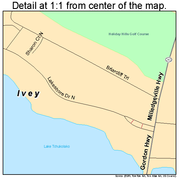 Ivey, Georgia road map detail