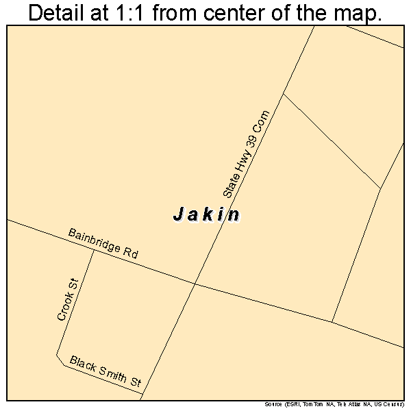 Jakin, Georgia road map detail