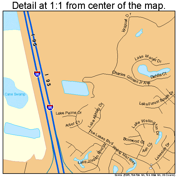 Kingsland, Georgia road map detail