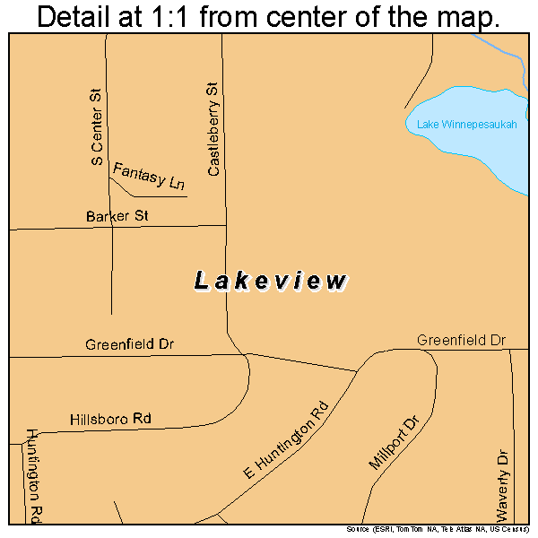 Lakeview, Georgia road map detail