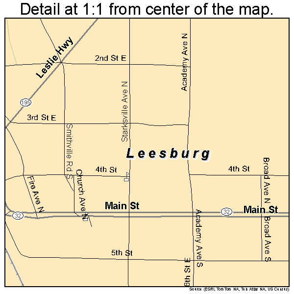 Leesburg, Georgia road map detail