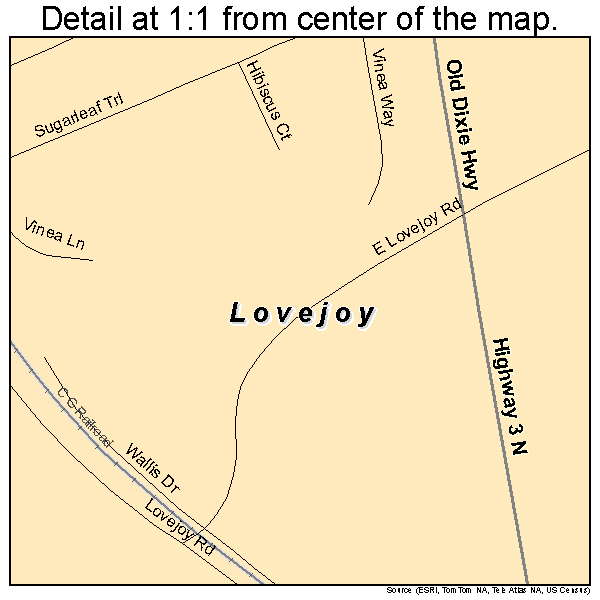 Lovejoy, Georgia road map detail