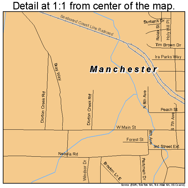 Manchester, Georgia road map detail